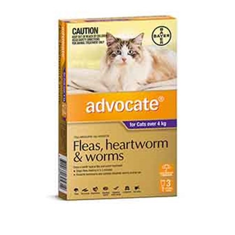 Advocate Cat Bayer 4KG Plus Large Pack of 3 Purple | Buy Cat Health ...