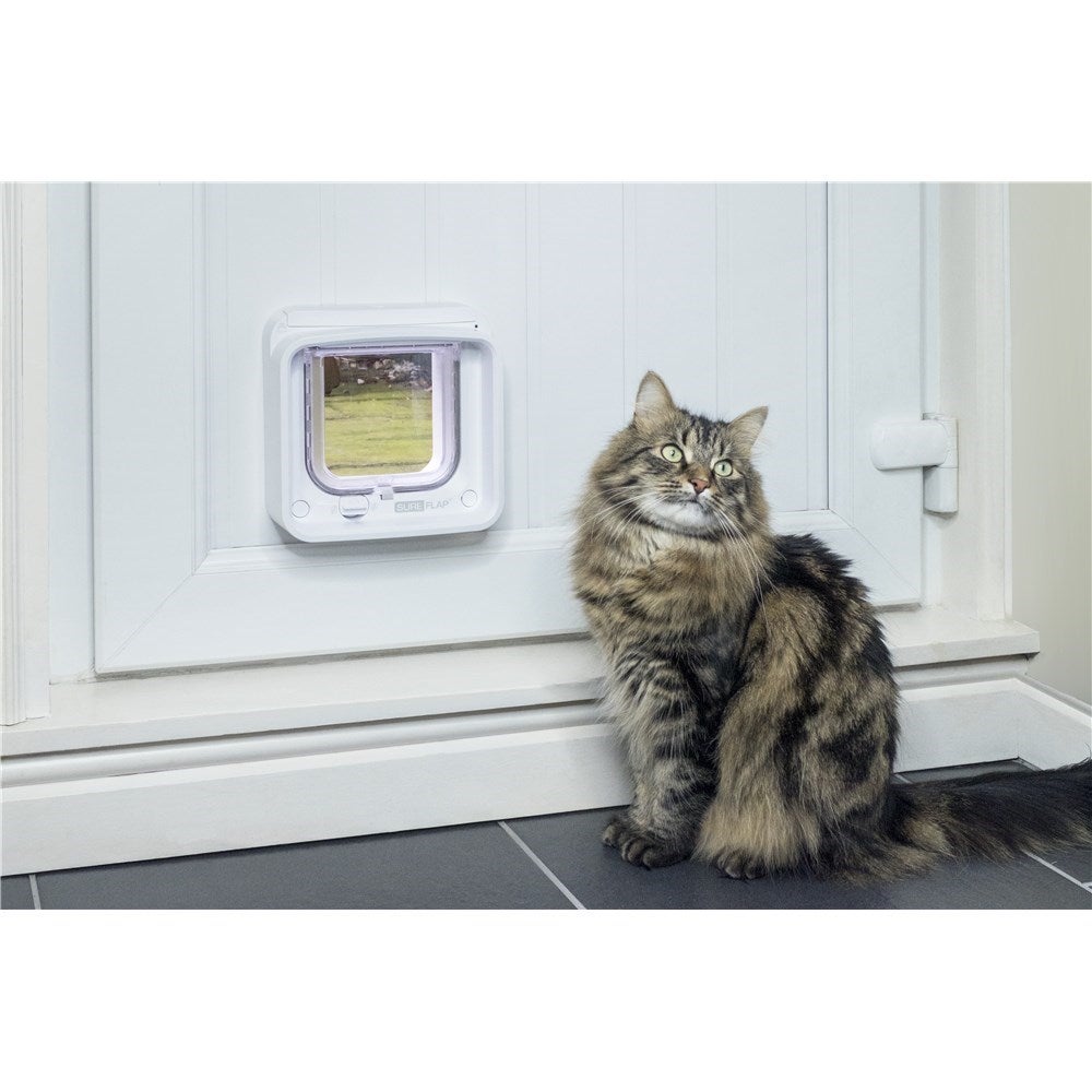 Sureflap Microchip Dual Scan Connect Cat Door | Buy Pet ...