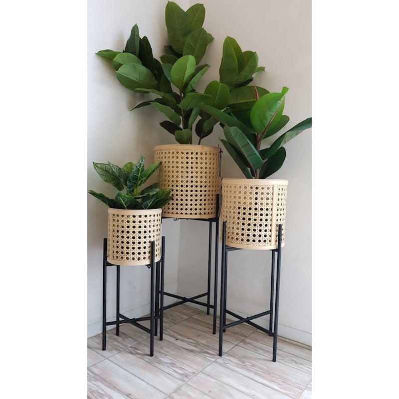 Zoobibi Rattan Planter with Metal Legs Medium Buy Pots & Planters