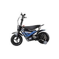 Zippi Ride Kids Ebike