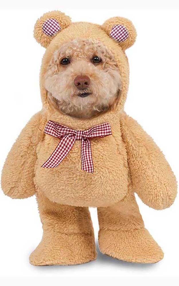massive teddy bear costume