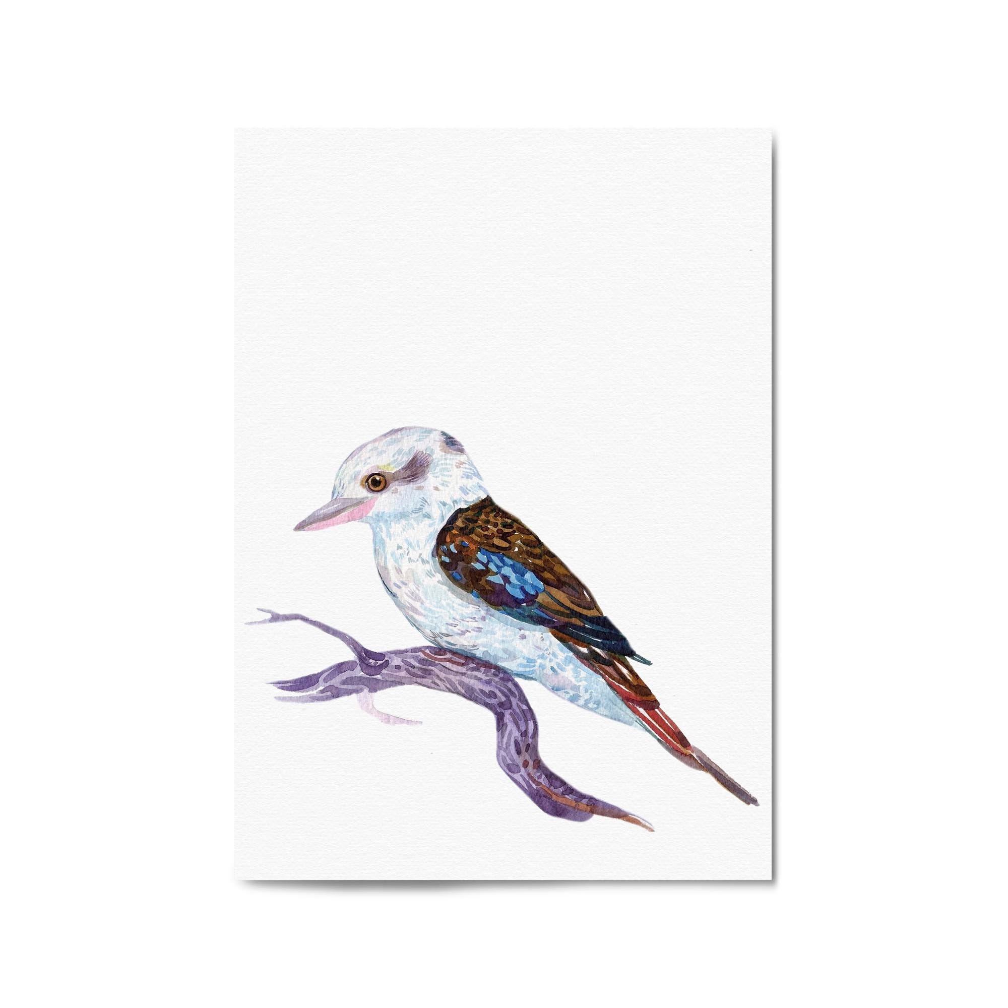 Watercolour Kookaburra Wall Art Buy Posters, Paintings & Prints