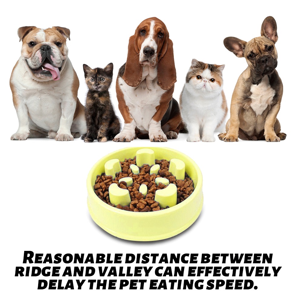 Pet Dog Puppy Large Slow Down Eating Feeding Bowl Anti Choke Dish Food