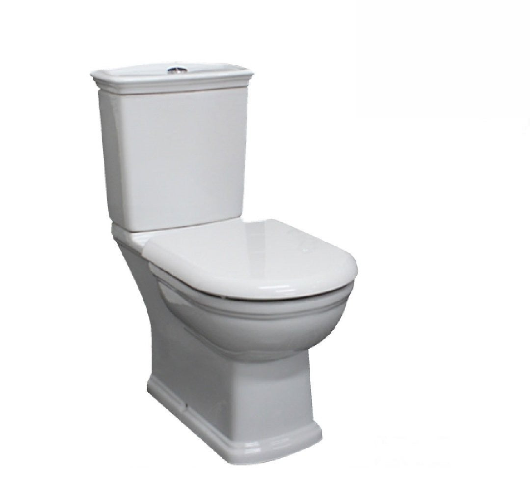 Fienza Toilet Close Coupled RAK Washington White 060130W Buy Toilets