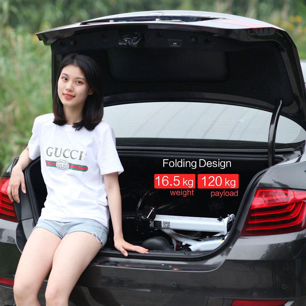 freestyler electric bike