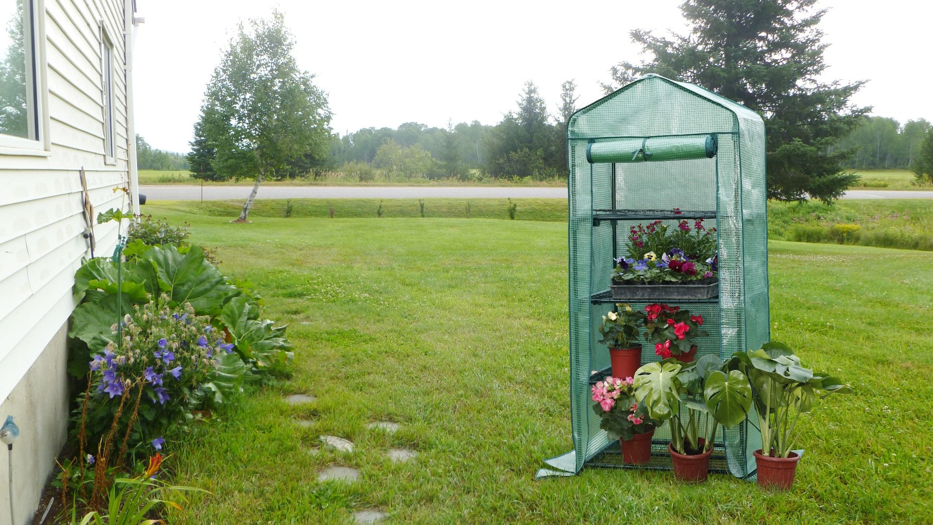 4 Tier Green House Garden Plant Protection multi level Display Tent