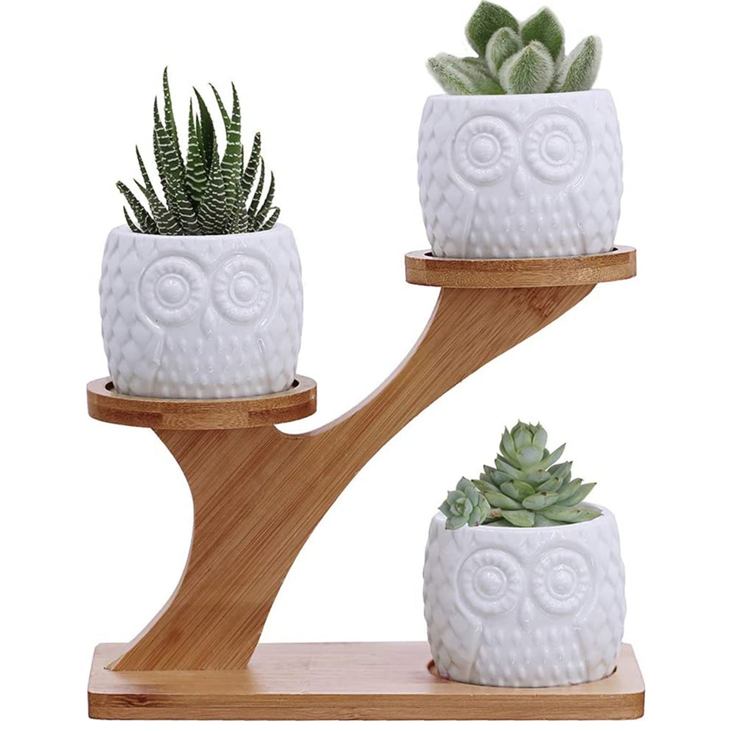 8 Inch Cat Succulent Planter White Large Cute Ceramic