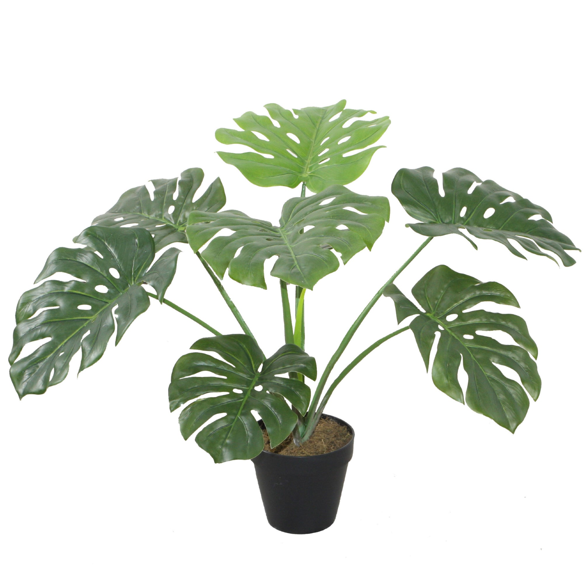 Cooper & Co. 60Cm Tall Potted Monstera Home Decor Fake Plant Indoor