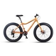 Fat Bikes